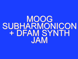 Moog Subharmonicon + DFAM Synth Jam